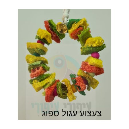 צעצוע עגול ספוג